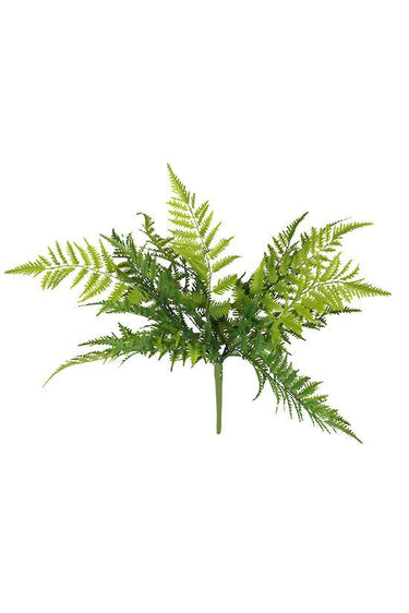 Mountain Fern Bush at Online8 Furniture Auckland NZ
