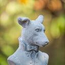 Mr Dog in Suit at online8 furniture store Auckland