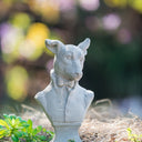 Mr Dog in Suit at online8 furniture store Auckland