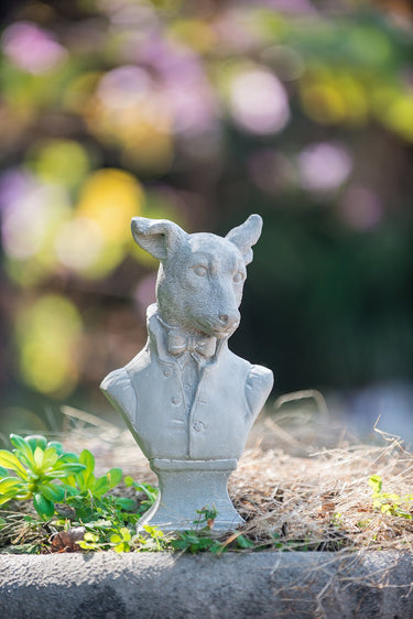 Mr Dog in Suit at online8 furniture store Auckland