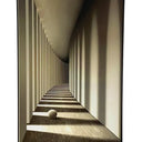 Natural Order 3D Wall Art at online8 furniture store Auckland