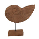 Nautilus Shell on Stand at online8 furniture store Auckland