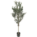 Olive Faux Tree 1.5M at online8 furniture store Auckland