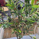 Olive Faux Tree Potted 180cm at online8 furniture store Auckland