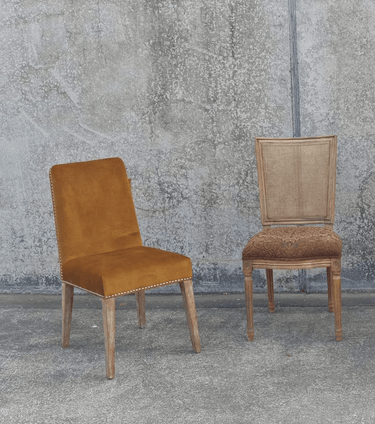 Pascal Dining Chair - Mustard Velvet at online8 furniture store Auckland