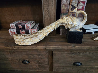 Peacock on Stand - 61cm at Online8 Furniture Auckland NZ