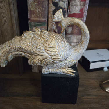 Peacock on Stand - 61cm at Online8 Furniture Auckland NZ