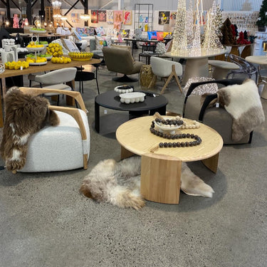 Perfetto Boucle Occasional Chair - Natural at online8 furniture store Auckland