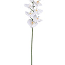 Phalaenopsis Orchid White 86cm – Real Touch Faux Flora at Online8 Furniture Auckland NZ