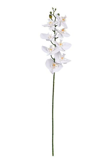 Phalaenopsis Orchid White 86cm – Real Touch Faux Flora at online8 furniture store Auckland