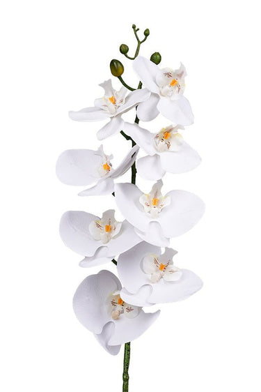 Phalaenopsis Orchid White 86cm – Real Touch Faux Flora at online8 furniture store Auckland