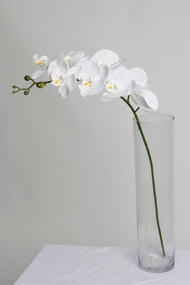 Phalaenopsis Orchid White 86cm – Real Touch Faux Flora at online8 furniture store Auckland