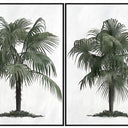 Palm Serenity canvas prints shown hung as a pair