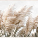 Toi Party panoramic canvas wall art of toi toi plumes in a chalk L-frame