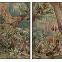 Forest Fantasy canvas wall art set of two dense forest scenes in dark brown L-frames