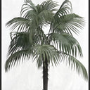 Palm Serenity canvas print of a palm tree with white matt surround in a black frame