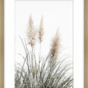 Coastal Calm framed print of pampas grass in an oak colour frame