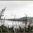 Muriwai Beach canvas wall art of coastal grasses in near monochrome, oak frame
