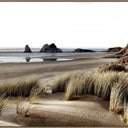 Dancing Dunes canvas wall art of marram grass on the dunes at Wharariki Beach, oak frame