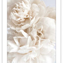 Pivoine framed wall art of a single white peony in a white frame