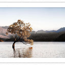 Solitary framed wall art of the Wanaka Tree in the lake with mountains behind, white frame