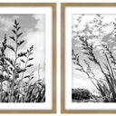 Harakeke framed wall art set of two black and white New Zealand flax studies in oak frames