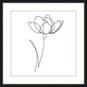 Serenity framed wall art, single line drawing of a tulip with white matt and black frame
