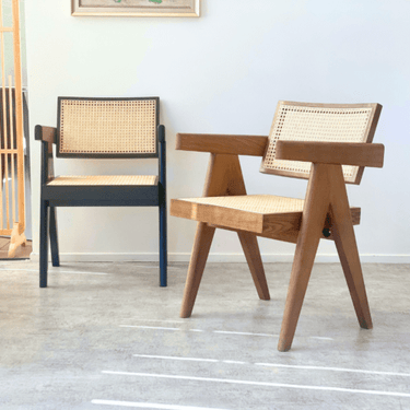 Pierre Rattan Armchair | Dining Chair - Walnut at online8 furniture store Auckland