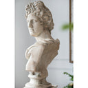 Bust statue Large | Roman Statue | Indoor/Outdoor Statue at online8 furniture store Auckland