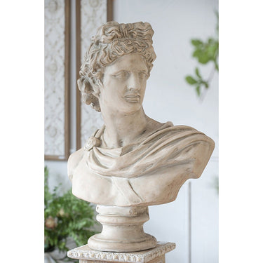 Bust statue Large | Roman Statue | Indoor/Outdoor Statue at online8 furniture store Auckland