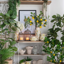 Planter Set of 2 - Natural at online8 furniture store Auckland