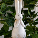 Playful Rabbit W/ Long Ears at online8 furniture store Auckland