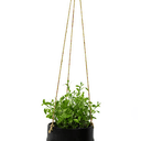 Porcelain Hanging Pot Black at online8 furniture store Auckland