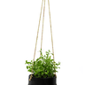 Porcelain Hanging Pot Black at online8 furniture store Auckland