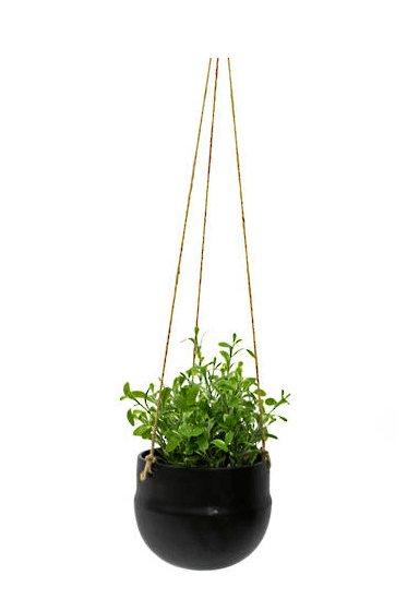 Porcelain Hanging Pot Black at online8 furniture store Auckland
