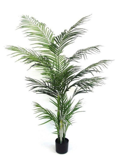 Potted Areca Palm 1.2m at online8 furniture store Auckland