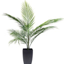 Potted Areca Palm 75cm at online8 furniture store Auckland
