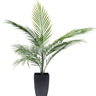 Potted Areca Palm 75cm at online8 furniture store Auckland