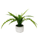 Potted Fern with Chevron Pot - 38cm Faux Plant at online8 furniture store Auckland