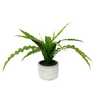 Potted Fern with Chevron Pot - 38cm Faux Plant at online8 furniture store Auckland