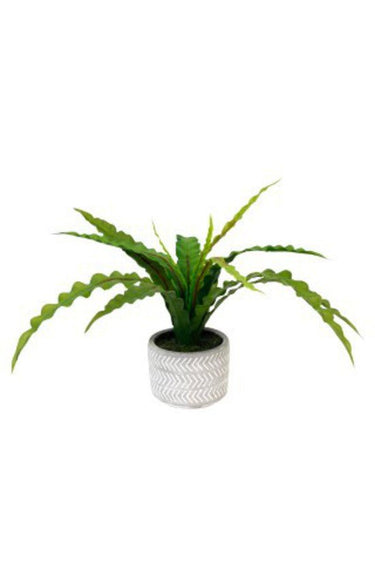 Potted Fern with Chevron Pot 38cm at online8 furniture store Auckland