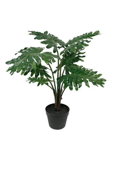 Potted Grand Philodendron - 61cm Faux Plant at online8 furniture store Auckland