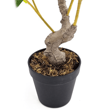 Potted Lamon Tree - Artificial Plant at online8 furniture store Auckland