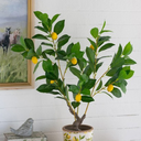 Potted Lamon Tree - Artificial Plant at online8 furniture store Auckland