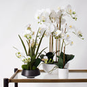 Potted Real Touch Orchid White Pot 63cm at online8 furniture store Auckland