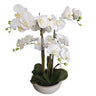 Potted Real Touch Orchid White Pot 63cm at online8 furniture store Auckland