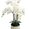 Potted Real Touch Phalaenopsis Orchid - 80cm at online8 furniture store Auckland