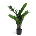 Potted Zamifolia 70cm at online8 furniture store Auckland