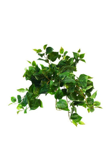 Puff Philo Hanging Bush at Online8 Furniture Auckland NZ