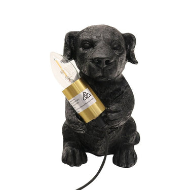 Puppy Table Lamp at online8 furniture store Auckland